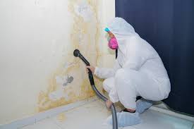 Mold Remediation for Vacation Homes in Estero, FL